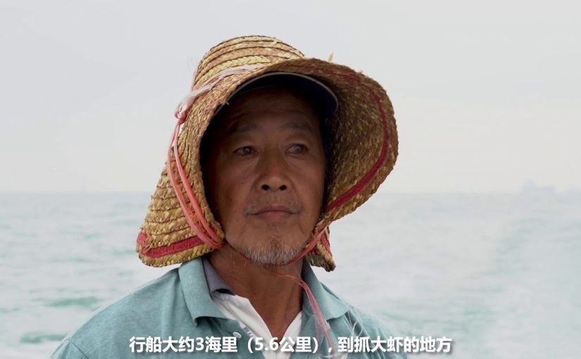 捕虾