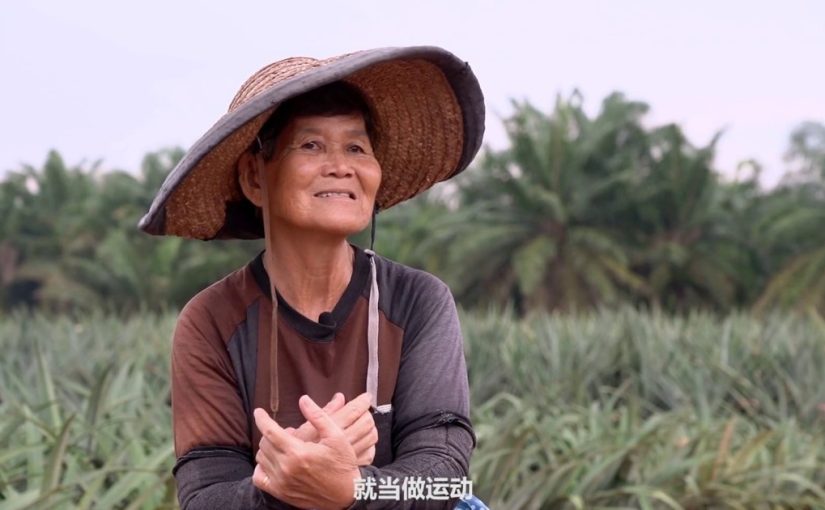 黄梨女工