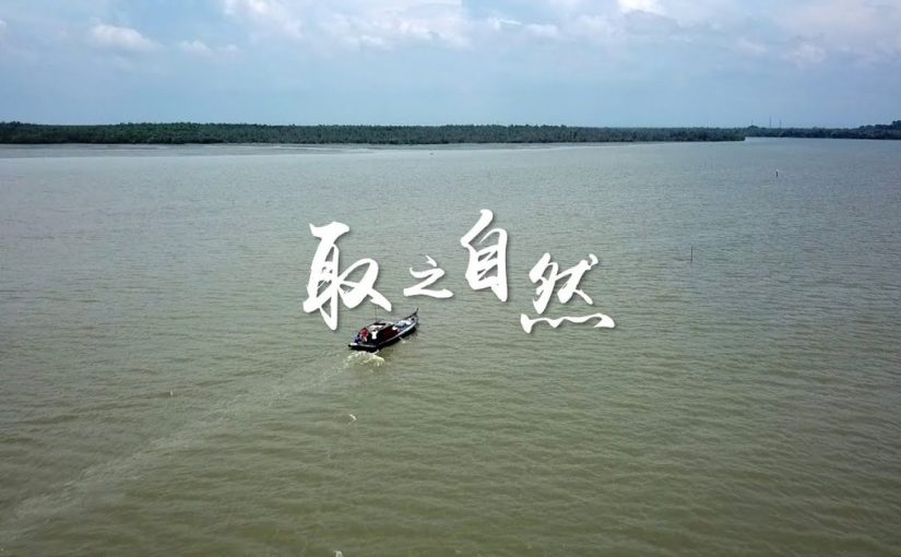 取之自然