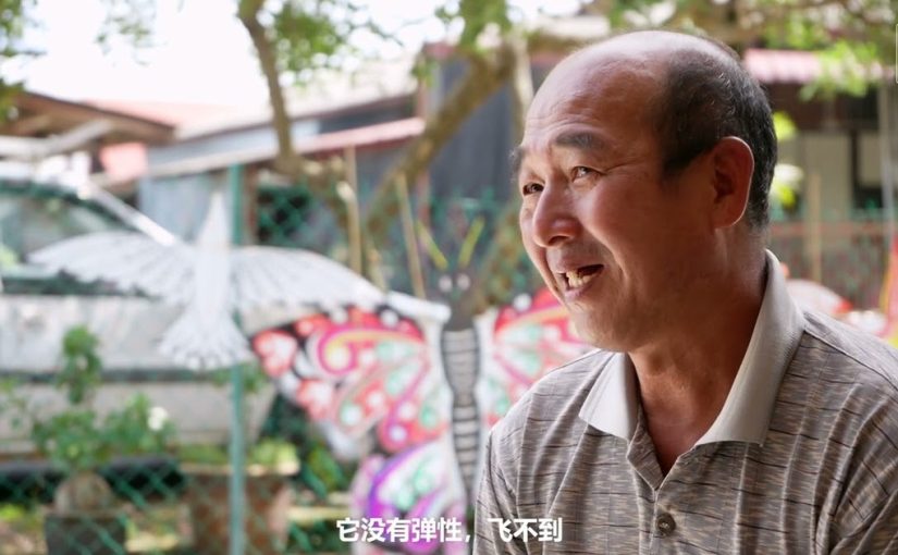 仁嘉隆的风筝