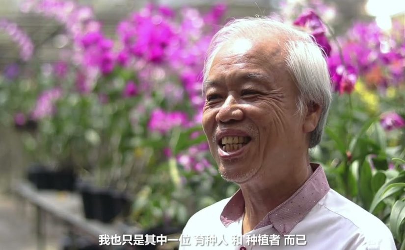 黄启新：胡姬花育种人