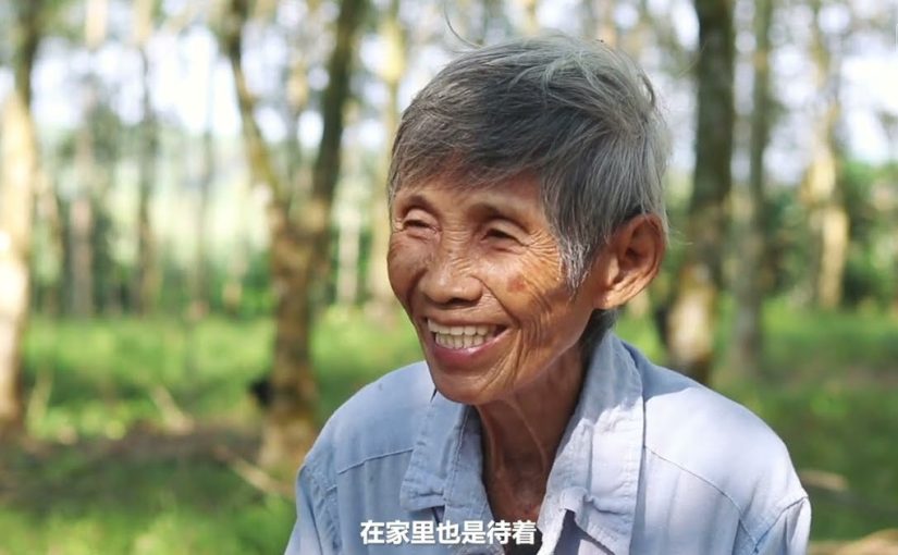割胶女工